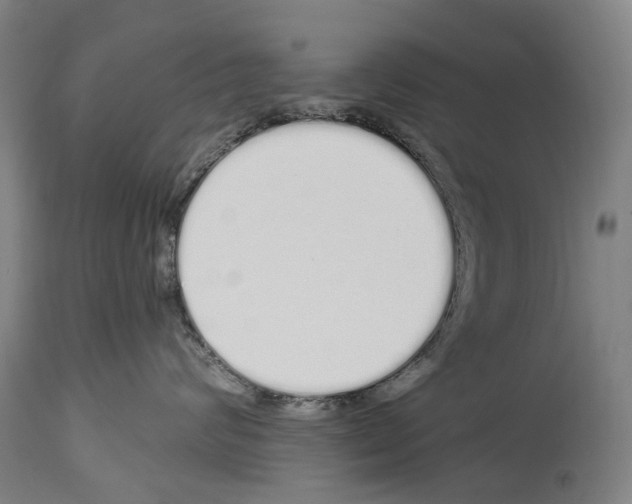 X0000114030624200911131250