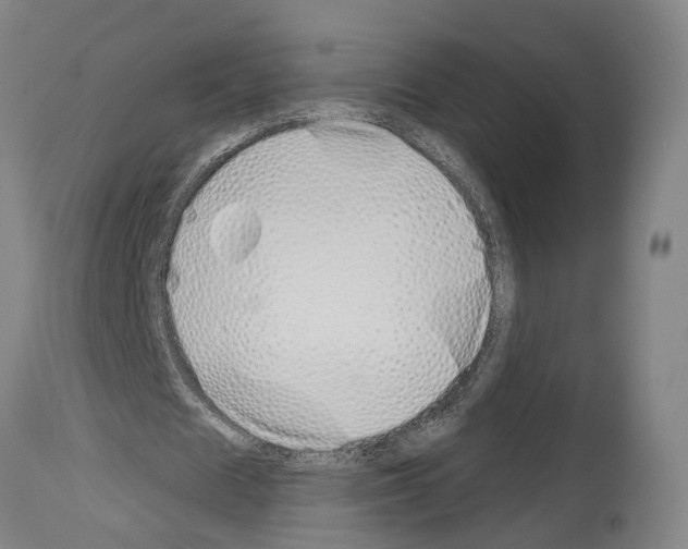 X0000114030625200911131249