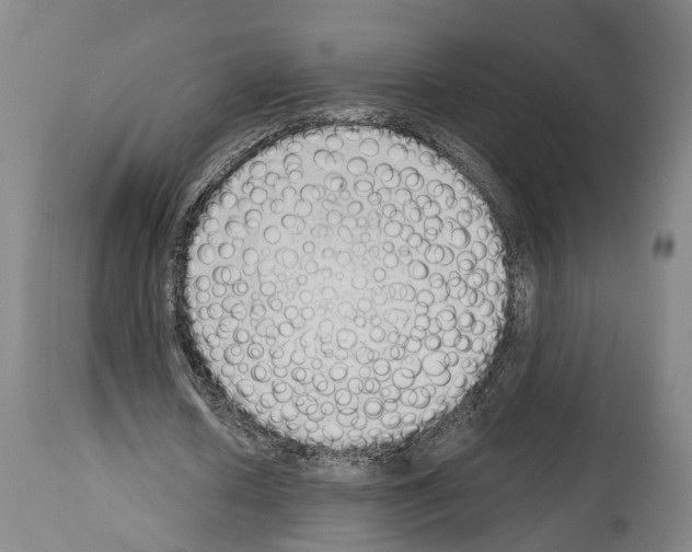 X0000114030626200911131250