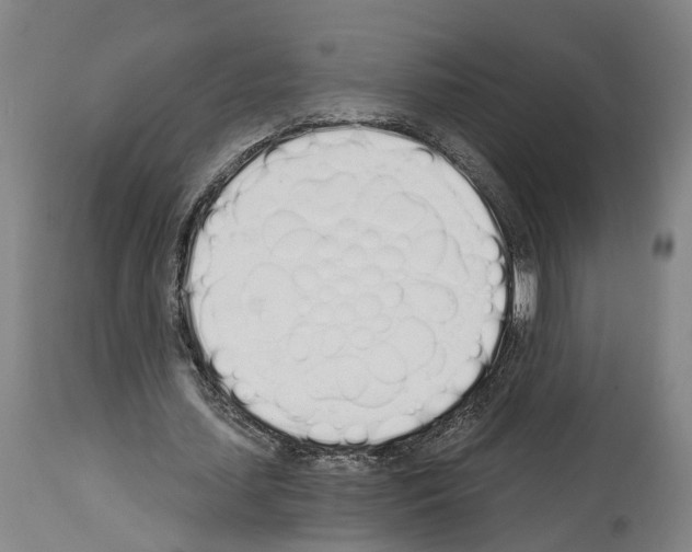 X0000114030627200911131250