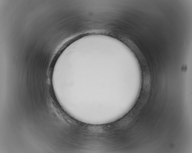 X0000114030628200911131250