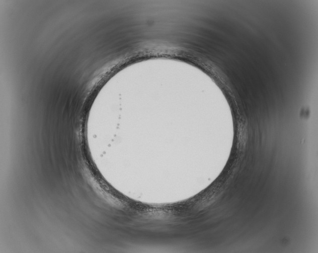 X0000114030629200911131250