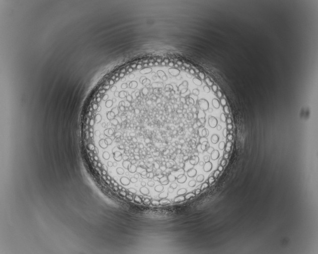 X0000114030630200911131250