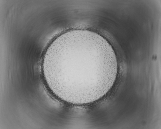 X0000114030632200911131250