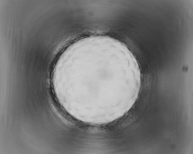 X0000114030634200911131250