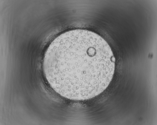 X0000114030635200911131250