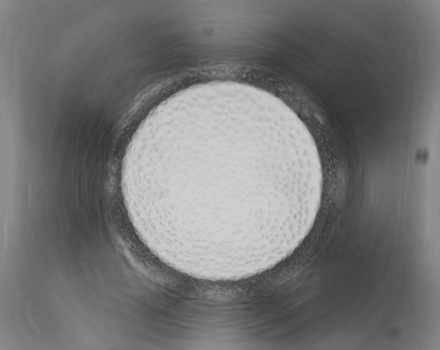 X0000114030636200911131250