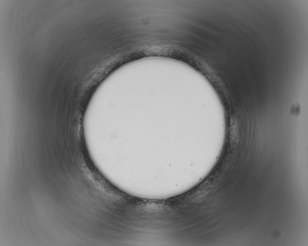 X0000114030637200911131250