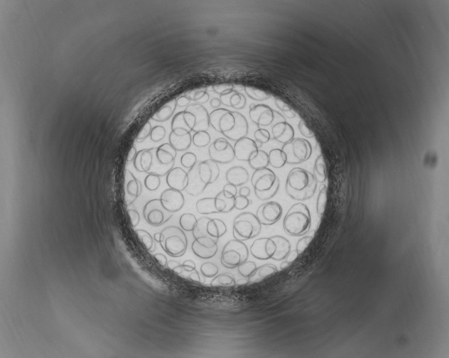 X0000114030638200911131250