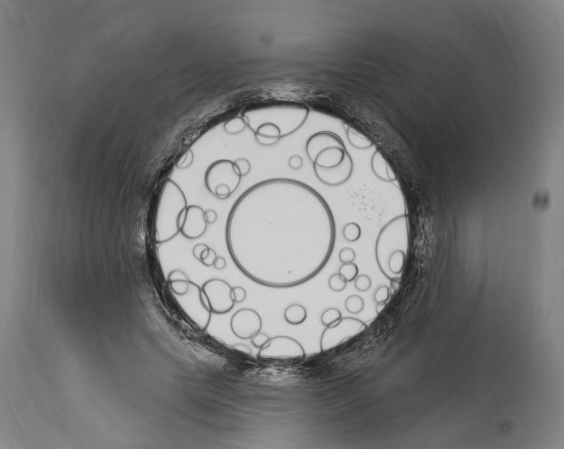 X0000114030639200911131250