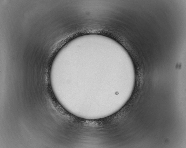 X0000114030640200911131250