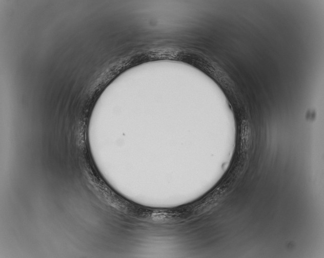 X0000114030641200911131250