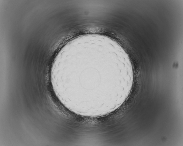 X0000114030642200911131250