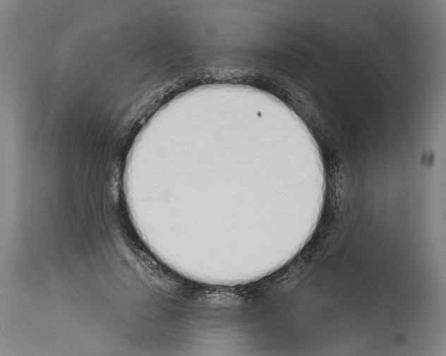 X0000114030644200911131250