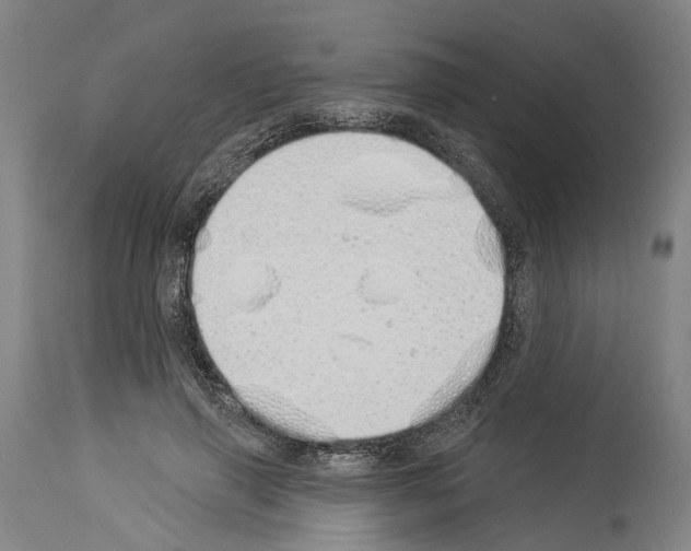 X0000114030645200911131250