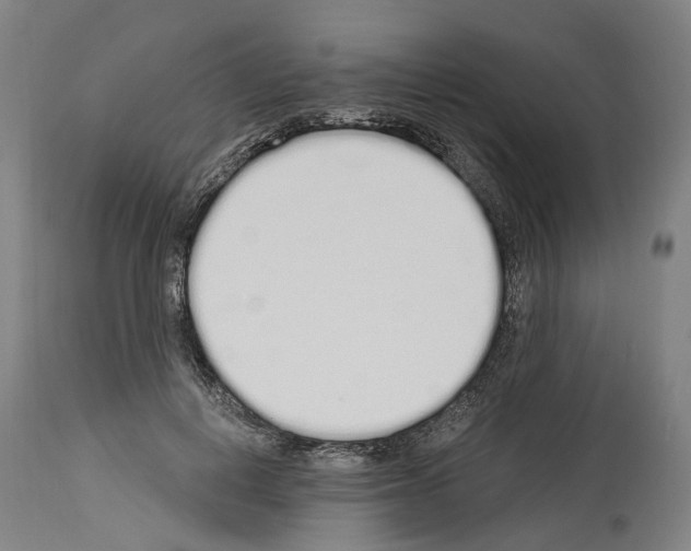 X0000114030648200911131250