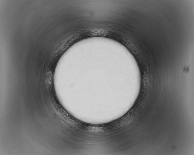 X0000114030649200911131250