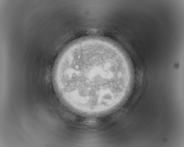 X0000114030659200911131250