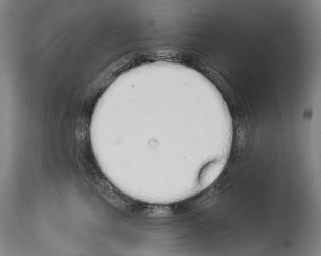 X0000114030665200911131250