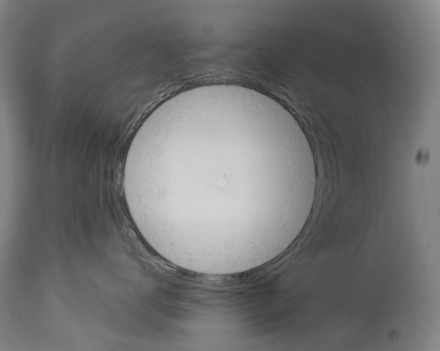 X0000114030672200911131250