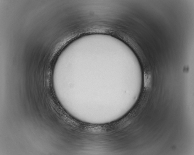 X0000114030675200911131249