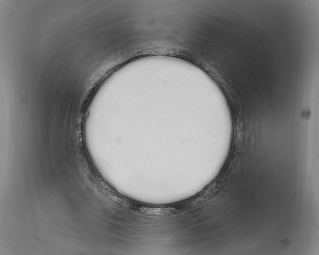 X0000114030679200911131249