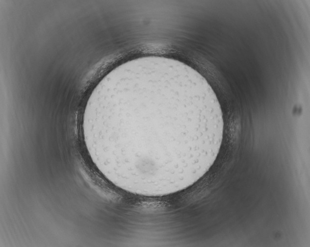 X0000114030686200911131249