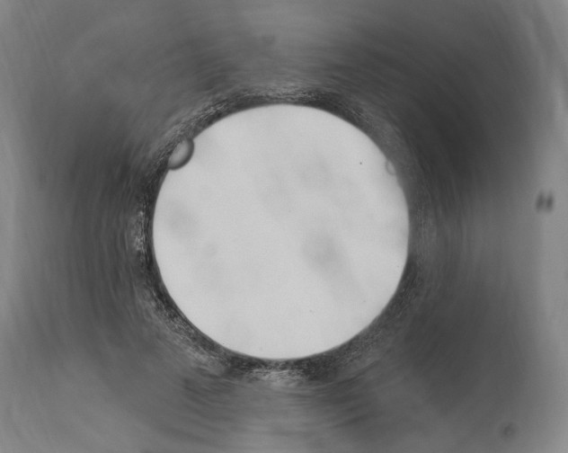 X0000114030689200911131249