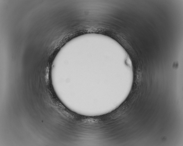 X0000114030691200911131249