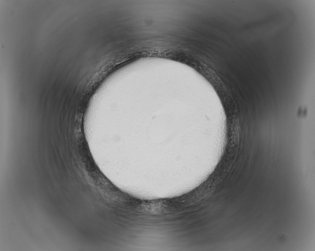 X0000114030695200911131249