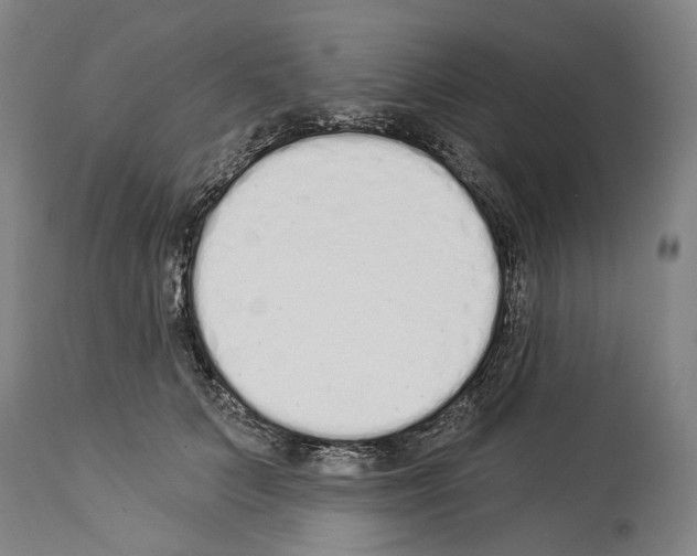 X0000114030703200911131249