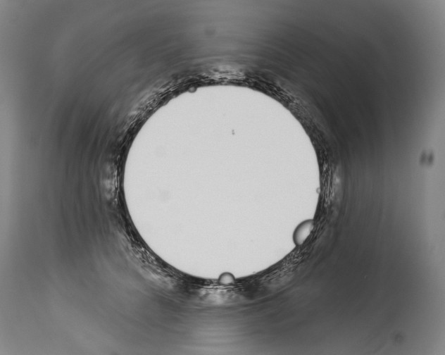 X0000114030704200911131249