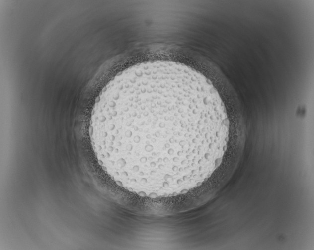 X0000114030706200911131249