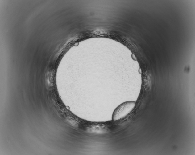 X0000114030708200911131249