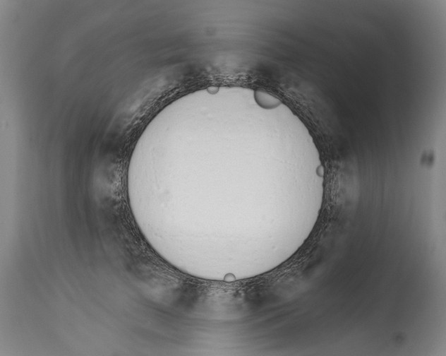 X0000114030709200911131249