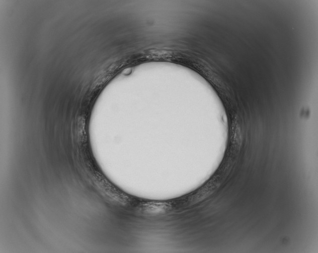 X0000114030711200911131249