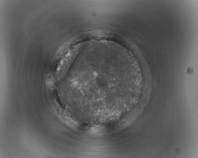 X0000114030720200911131249