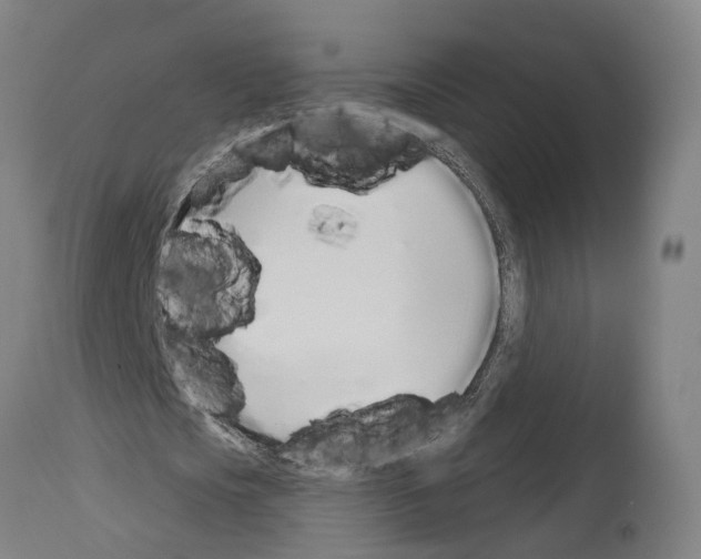 X0000114030721200911131248