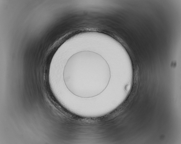 X0000114030722200911131248