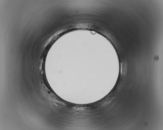 X0000114030723200911131248