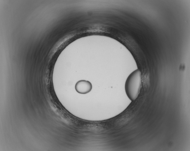 X0000114030724200911131248