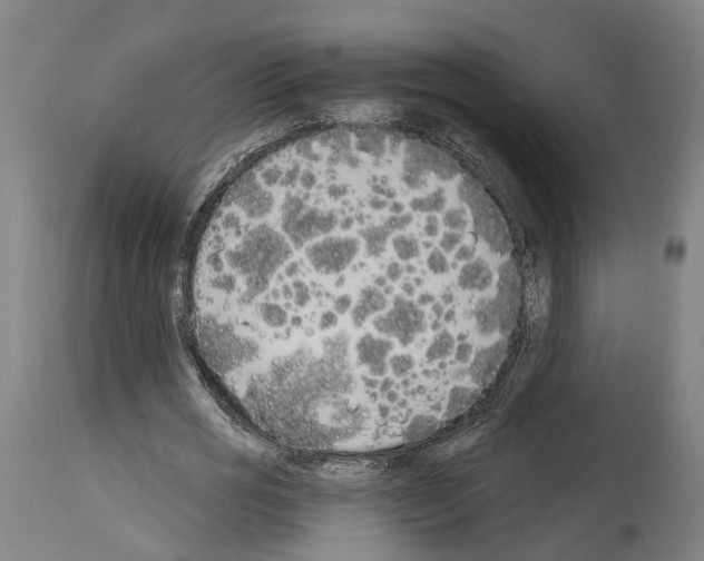 X0000114030725200911131248