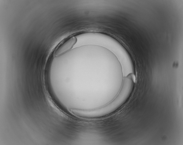 X0000114030726200911131248