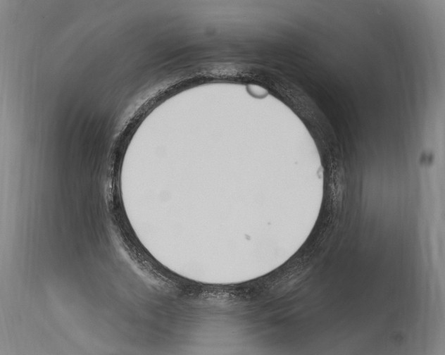 X0000114030728200911131248