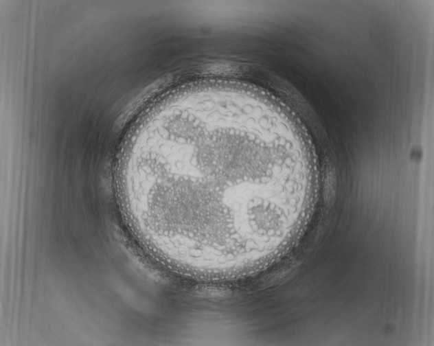 X0000114030729200911131248