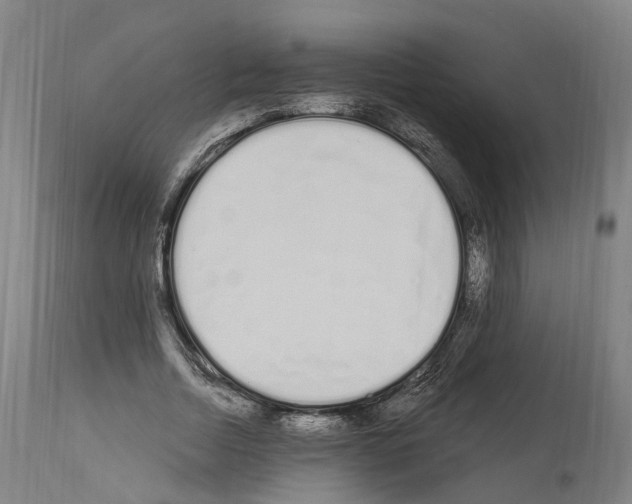 X0000114030730200911131248