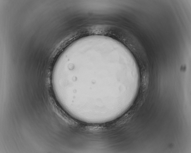 X0000114030733200911131248