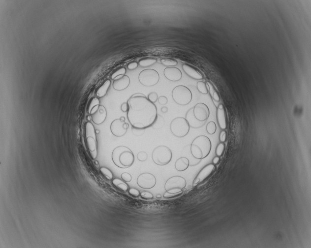 X0000114030734200911131248