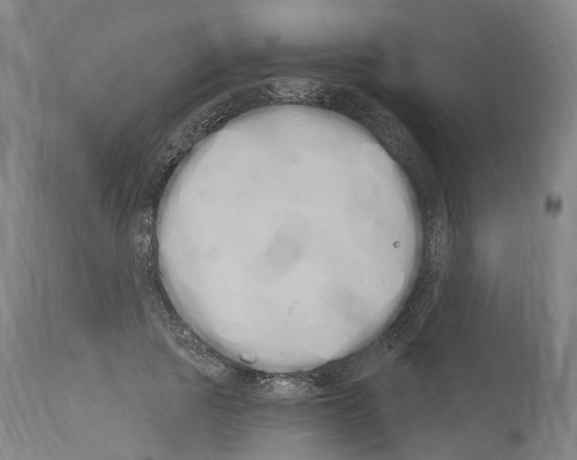 X0000114030737200911131248