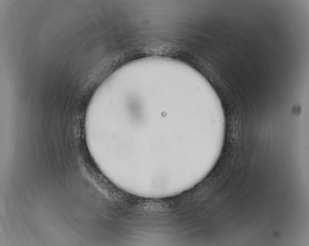 X0000114030738200911131248